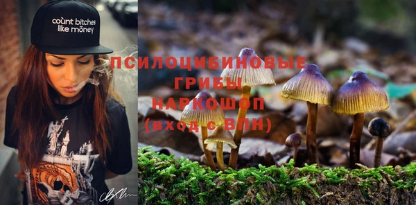 ешки Снежинск