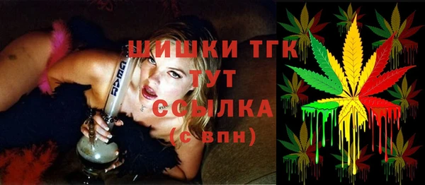 ешки Снежинск