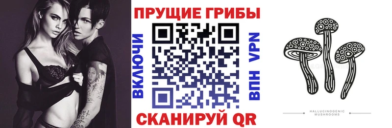 Галлюциногенные грибы Cubensis Купить Шенкурск