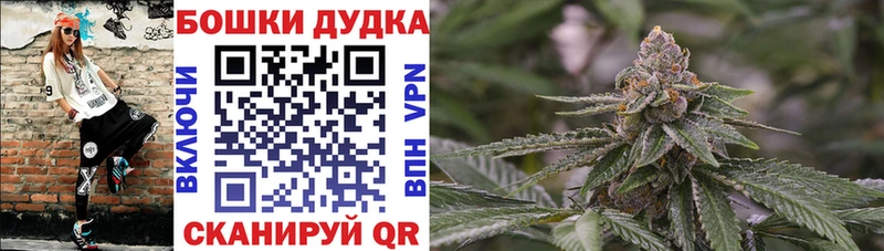 Конопля VHQ  Купить закладки  Шенкурск 